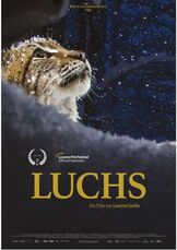 23/P9: Luchs