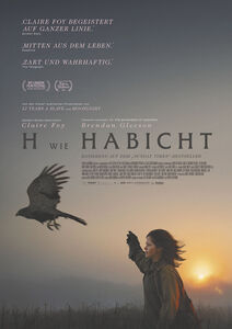 H wie Habicht H wie Habicht